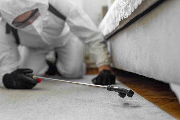 Professional Pest Control technician working in Swansboro, NC